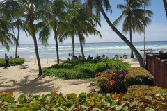 20181126_114030-rotated