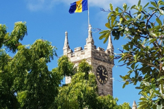 20181127_121546-rotated