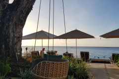 20181127_165158-rotated