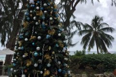 IMG-20181204-WA0034