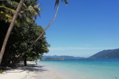 IMG-20181206-WA0054