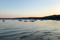 A91154A72159410BA83A84D365026F01-1